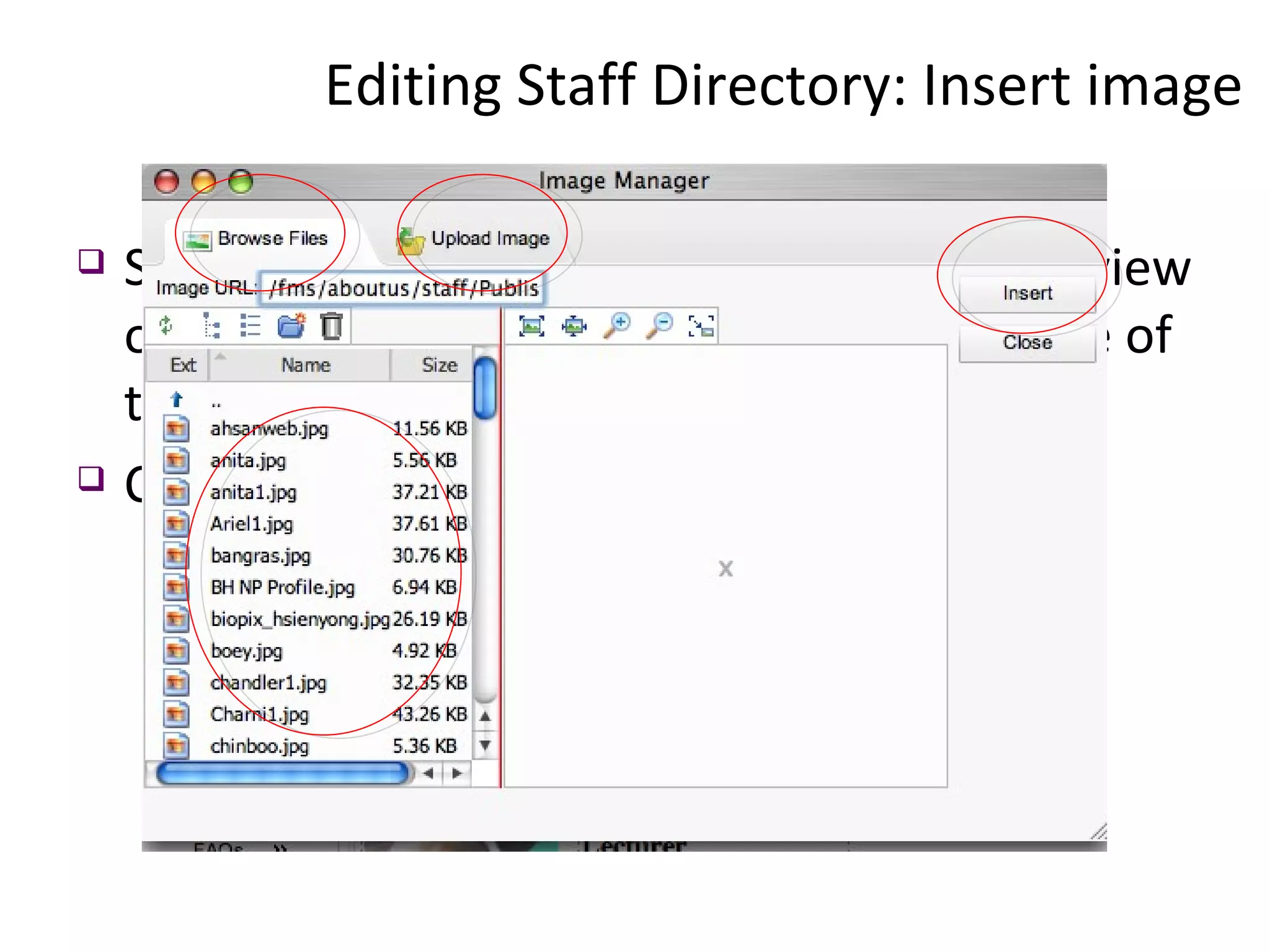 Select the image you want to insert. A preview of the image appears in the right-hand side of the dialog. Click “ Insert ”. Editing Staff Directory: Insert image  