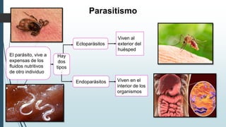 Parasitismo
El parásito, vive a
expensas de los
fluidos nutritivos
de otro individuo
Hay
dos
tipos
:
Ectoparásitos
Endoparásitos
Viven al
exterior del
huésped
Viven en el
interior de los
organismos
 