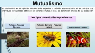 El mutualismo es un tipo de relación entre especies o relación interespecífica, en el cual los dos
individuos involucrados obtienen un beneficio mutuo, o sea, se benefician ambos de su asociación
Los tipos de mutualismo pueden ser:
Relación Recurso –
Recurso
Relación Servicio – Recurso
natural Relación Servicio – Servicio
 