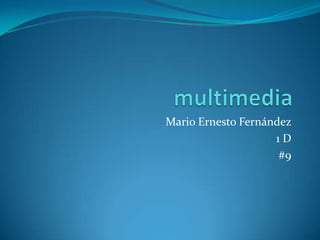 multimedia Mario Ernesto Fernández 1 D #9 