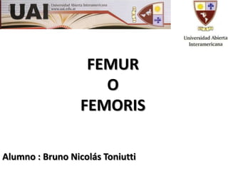 FEMUR O FEMORIS Alumno : Bruno Nicolás Toniutti 