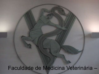 Faculdade de Medicina Veterinária – Universidade Técnica de Lisboa 