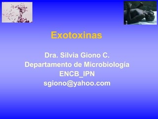 Exotoxinas
Dra. Silvia Giono C.
Departamento de Microbiología
ENCB_IPN
sgiono@yahoo.com
 