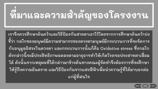 BACK NEXT
เราจึงควรศึกษาค้นคว้าและวิธีป้องกันสายตาเอาไว้โดยจากการศึกษาค้นคว้าบ่ง
ชี้ว่า กลไกของมนุษย์มีความสามารถของดวงตามนุษย์มีกระบวนการที่จะจัดการ
กับอนุมูลอิสระในดวงตา และกระบวนการนั้นก็คือ Oxidative stress ซึ่งกลไก
ดังกล่าวนี้จะมีประสิทธิภาพลดลงตามอายุอาจทําให้เกิดโรคจอประสาทตาเสื่อม
ได้ ดังนั้นจากเหตุผลที่ได้กล่าวมาข้างต้นทางคณะผู้จัดทําจึงต้องการที่จะศึกษา
ให้รู้ถึงความอันตราย และวิธีป้องกันจากแสงสีฟ้าเพื่อนําความรู้ที่ได้มาบอกต่อ
แก่ผู้ที่สนใจ
ที่มาและความสําคัญของโครงงาน
MENU
 