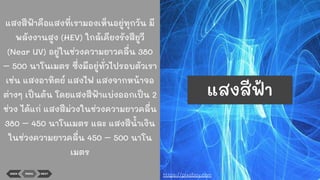 แสงสีฟ้าคือแสงที่เรามองเห็นอยู่ทุกวัน มี
พลังงานสูง (HEV) ใกล้เคียงรังสียูวี
(Near UV) อยู่ในช่วงความยาวคลื่น 380
– 500 นาโนเมตร ซึ่งมีอยู่ทั่วไปรอบตัวเรา
เช่น แสงอาทิตย์ แสงไฟ แสงจากหน้าจอ
ต่างๆ เป็นต้น โดยแสงสีฟ้าแบ่งออกเป็น 2
ช่วง ได้แก่ แสงสีม่วงในช่วงความยาวคลื่น
380 – 450 นาโนเมตร และ แสงสีนาเงิน
ในช่วงความยาวคลื่น 450 – 500 นาโน
เมตร
BACK MENU NEXT
https://pixabay.com
แสงสีฟ้า
 