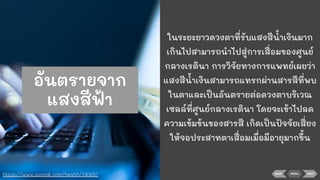 ในระยะยาวดวงตาที่รับแสงสีนาเงินมาก
เกินไปสามารถนําไปสู่การเสื่อมของศูนย์
กลางเรตินา การวิจัยทางการแพทย์เผยว่า
แสงสีนาเงินสามารถแทรกผ่านสารสีที่พบ
ในตาและเป็นอันตรายต่อดวงตาบริเวณ
เซลล์ที่ศูนย์กลางเรตินา โดยจะเข้าไปลด
ความเข้มข้นของสารสี เกิดเป็นปัจจัยเสี่ยง
ให้จอประสาทตาเสื่อมเมื่อมีอายุมากขึ้น
BACK MENU NEXT
https://www.sanook.com/health/13065/
อันตรายจาก
แสงสีฟ้า
 