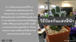 10. วางต้นกระบองเพชรไว้ข้าง ๆ
คอมพิวเตอร์ ผลวิจัยของสถาบัน
Recherches en Geobiologie ของ
สวิตเซอร์แลนด์ และนักวิจัยในอเมริกาพบ
ว่า หนามของต้นกระบองเพชรเป็นสื่อดูด
รังสีจากทีวีและคอมพิวเตอร์ได้ รวมทั้ง
กระบองเพชรยังอาจดูดรังสี UV ที่เปล่ง
ออกมาจากอุปกรณ์ไฮเทคไว้สังเคราะห์
แสงแทนแสงแดดด้วยในตัว
BACK MENU NEXT https://steemit.com
วิธีป้องกันแสงสีฟ้า
 