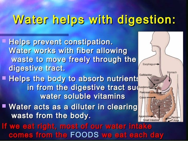 fn1 ppt water how water works in the body
