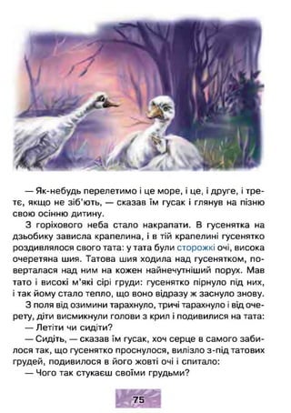 — Як-небудь перелетимо і це море, і це, і друге, і тре­
тє, якщо не зіб’ють, — сказав їм гусак і глянув на пізню
свою осінню дитину.
З горіхового неба стало накрапати. В гусенятка на
дзьобику зависла крапелина, і в тій крапелині гусенятко
роздивлялося свого тата: у тата були сторожкі очі, висока
очеретяна шия. Татова шия ходила над гусенятком, по­
верталася над ним на кожен найнечутніший порух. Мав
тато і високі м’які сірі груди: гусенятко пірнуло під них,
і так йому стало тепло, що воно відразу ж заснуло знову.
З поля від озимини тарахнуло, тричі тарахнуло і від оче­
рету, діти висмикнули голови з крил і подивилися на тата:
— Летіти чи сидіти?
— Сидіть, — сказав їм гусак, хоч серце в самого заби­
лося так, що гусенятко проснулося, вилізло з-під татових
грудей, подивилося в його жовті очі і спитало:
— Чого так стукаєш своїми грудьми?
11 ■ ■ ■
7 5
 