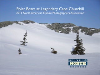 Polar Bears at Legendary Cape Churchill
2013 North American Nature Photographers Association
 
