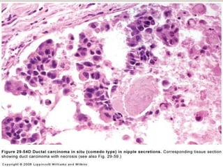 Copyright © Wondershare Software

 