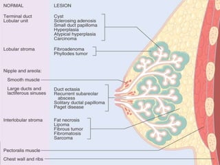 Copyright © Wondershare Software

 