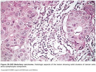 Copyright © Wondershare Software

 