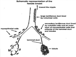 Copyright © Wondershare Software

 