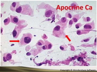 Copyright © Wondershare Software

 