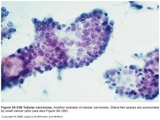 Copyright © Wondershare Software

 