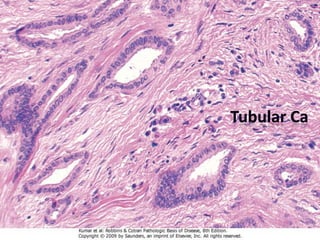 Copyright © Wondershare Software

 