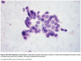 Copyright © Wondershare Software

 