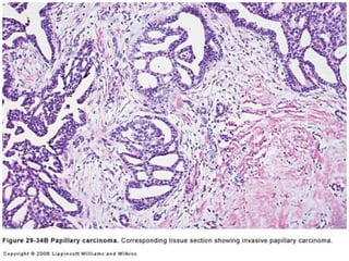 Copyright © Wondershare Software

 