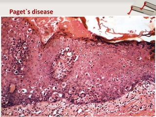 Copyright © Wondershare Software

 