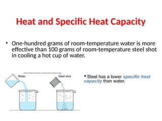 Heat and Specific Heat Capacity
• One-hundred grams of room-temperature water is more
effective than 100 grams of room-temperature steel shot
in cooling a hot cup of water.
Steel has a lower specific heat
capacity than water.
 