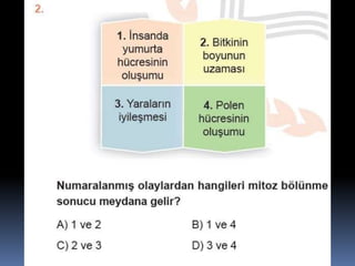 Fndnm