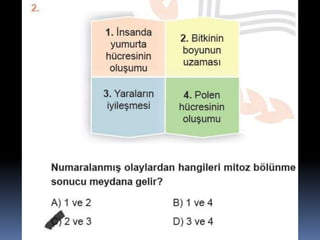 Fndnm