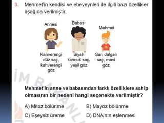 Fndnm