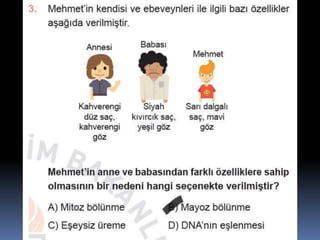 Fndnm