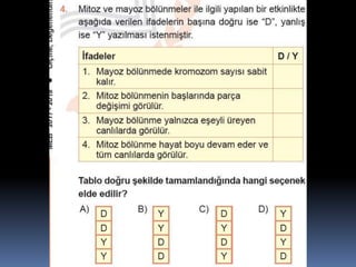 Fndnm