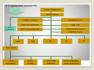 5- L’organigramme actuel du FNE
03/03/10
Cellule Programmes spéciauxCellule Communication et RP
Inspection des services
Réseau Agences
DOD
Cellule ACBF
Conseillers Techniques
Conseil d ’Administration
Directeur Général
DF
Service
Intermediation
DRH
Services
du MINFI (AC)
DA DI
Service
Formation
Service Emploi
Indépendant
Service Administration,
Finance, Recouvrement
Cellule Coop. Internationale
Cellule Recouvrement
Livre d'Or des 25 ans du FNE 3
 