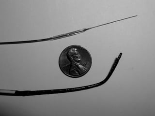 Johns Hopkins University
 