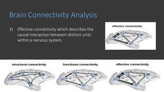 Brain Connectivity Analysis
Friston, K.J., 1994. Hum. Brain Mapp. 2, 56–78.
3) Effective connectivity which describes the
causal interaction between distinct units
within a nervous system.
 