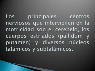 Los principales centros nerviosos que intervienen en la motricidad son el cerebelo, los cuerpos estriados (pallidum y putamen) y diversos núcleos talámicos y subtalámicos. 