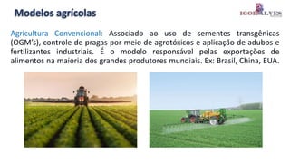 Modelos agrícolas
Agricultura Convencional: Associado ao uso de sementes transgênicas
(OGM’s), controle de pragas por meio de agrotóxicos e aplicação de adubos e
fertilizantes industriais. É o modelo responsável pelas exportações de
alimentos na maioria dos grandes produtores mundiais. Ex: Brasil, China, EUA.
 