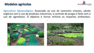 Modelos agrícolas
Agricultura Agroecológica: Associado ao uso de sementes crioulas, adubo
orgânico sem o uso de produtos industriais, o controle de pragas é feito sem o
uso de agrotóxico. O objetivo é tornar mínimo os impactos ambientais.
.
 