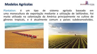 Modelos Agrícolas
Plantation: é um tipo de sistema agrícola baseado em
uma monocultura de exportação mediante a utilização de latifúndios. Foi
muito utilizado na colonização da América principalmente no cultivo de
gêneros tropicais, e é atualmente comum a países subdesenvolvidos.
 