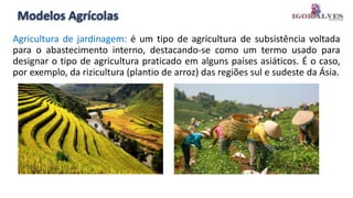 Modelos Agrícolas
Agricultura de jardinagem: é um tipo de agricultura de subsistência voltada
para o abastecimento interno, destacando-se como um termo usado para
designar o tipo de agricultura praticado em alguns países asiáticos. É o caso,
por exemplo, da rizicultura (plantio de arroz) das regiões sul e sudeste da Ásia.
 