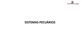 SISTEMAS PECUÁRIOS
 