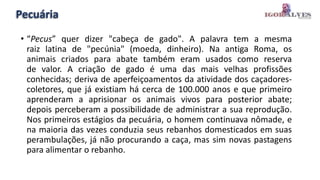 Pecuária
• “Pecus” quer dizer "cabeça de gado". A palavra tem a mesma
raiz latina de "pecúnia" (moeda, dinheiro). Na antiga Roma, os
animais criados para abate também eram usados como reserva
de valor. A criação de gado é uma das mais velhas profissões
conhecidas; deriva de aperfeiçoamentos da atividade dos caçadores-
coletores, que já existiam há cerca de 100.000 anos e que primeiro
aprenderam a aprisionar os animais vivos para posterior abate;
depois perceberam a possibilidade de administrar a sua reprodução.
Nos primeiros estágios da pecuária, o homem continuava nômade, e
na maioria das vezes conduzia seus rebanhos domesticados em suas
perambulações, já não procurando a caça, mas sim novas pastagens
para alimentar o rebanho.
 