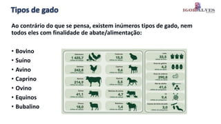 Tipos de gado
Ao contrário do que se pensa, existem inúmeros tipos de gado, nem
todos eles com finalidade de abate/alimentação:
• Bovino
• Suíno
• Avino
• Caprino
• Ovino
• Equinos
• Bubalino
 