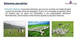 Sistemas pecuários
• Pecuária extensiva: A pecuária extensiva, por sua vez, consiste na criação do gado
a pasto em grandes áreas de pastagem. Assim, há a ocupação de grandes áreas
no sistema que se aplica em latifúndios e em propriedades familiares.
Normalmente, não há tantos investimentos quanto na pecuária intensiva.
 