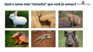 Qual a carne mais “estranha” que você já comeu?
 