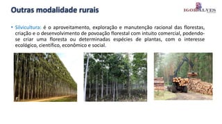 Outras modalidade rurais
• Silvicultura: é o aproveitamento, exploração e manutenção racional das florestas,
criação e o desenvolvimento de povoação florestal com intuito comercial, podendo-
se criar uma floresta ou determinadas espécies de plantas, com o interesse
ecológico, científico, econômico e social.
 