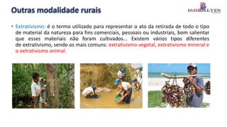 Outras modalidade rurais
• Extrativismo: é o termo utilizado para representar o ato da retirada de todo o tipo
de material da natureza para fins comerciais, pessoais ou industriais, bom salientar
que esses materiais não foram cultivados... Existem vários tipos diferentes
de extrativismo, sendo os mais comuns: extrativismo vegetal, extrativismo mineral e
o extrativismo animal.
 