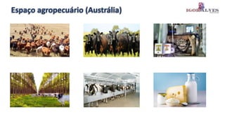 Espaço agropecuário (Austrália)
 