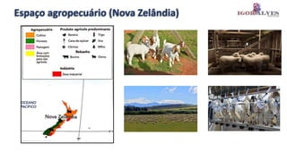 Espaço agropecuário (Nova Zelândia)
 