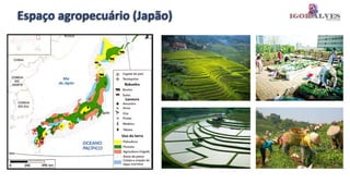 Espaço agropecuário (Japão)
 