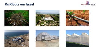 Os Kibutz em Israel
 