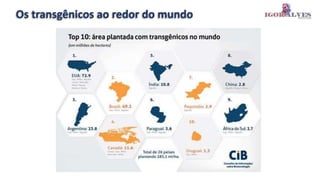 Os transgênicos ao redor do mundo
 